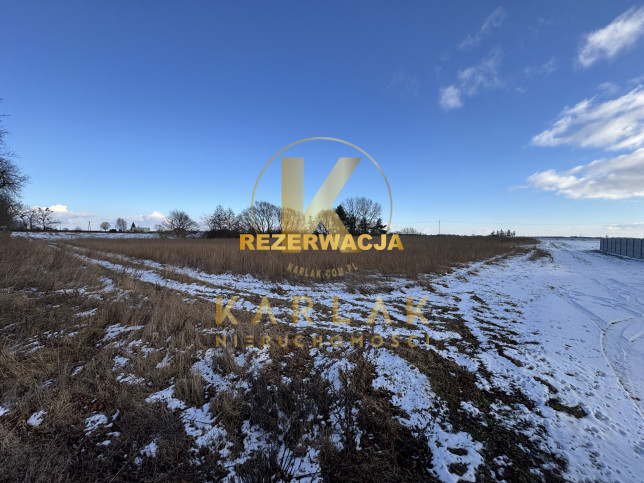 Działka Sprzedaż Rybno Wielkie 1