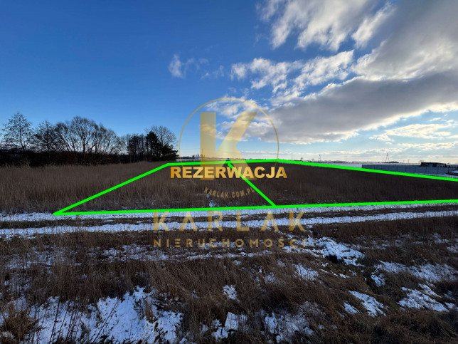 Działka Sprzedaż Rybno Wielkie 4