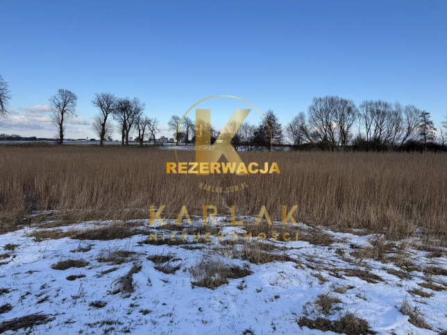 Działka Sprzedaż Rybno Wielkie 11