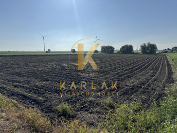 Działka Sprzedaż Drzonek
